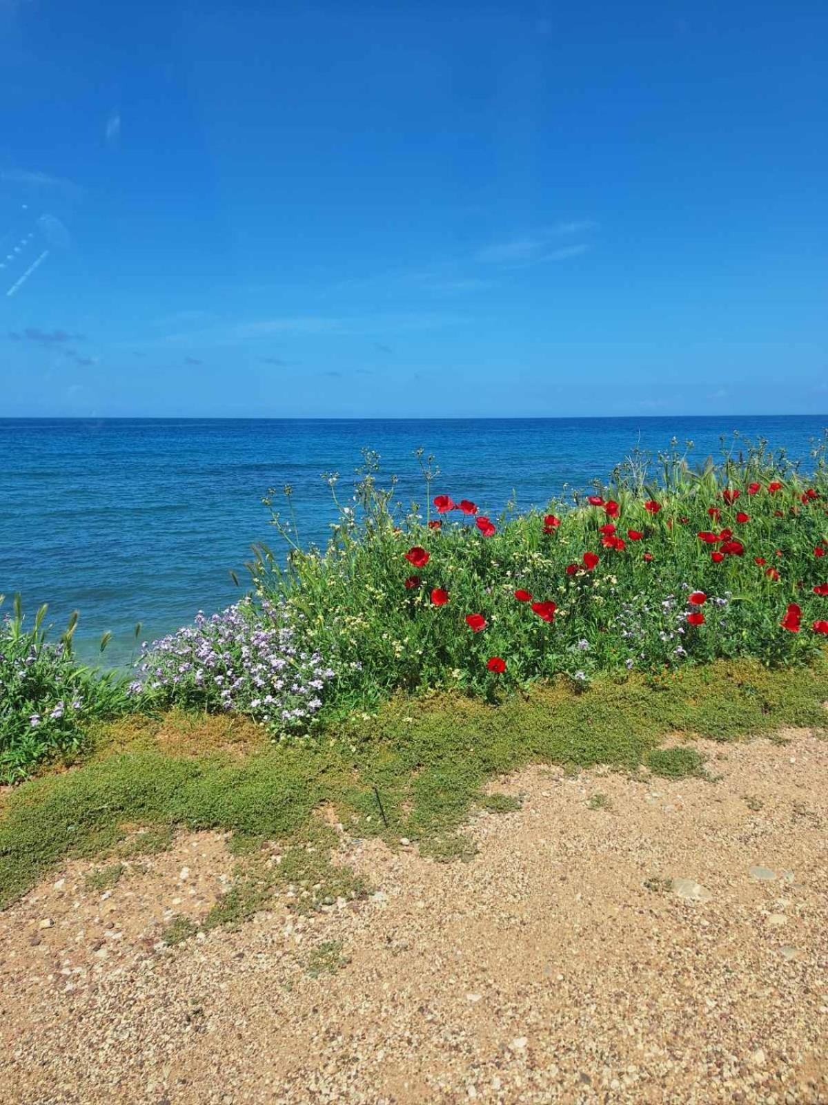 Ariadne Studio Kyparissia Exterior foto